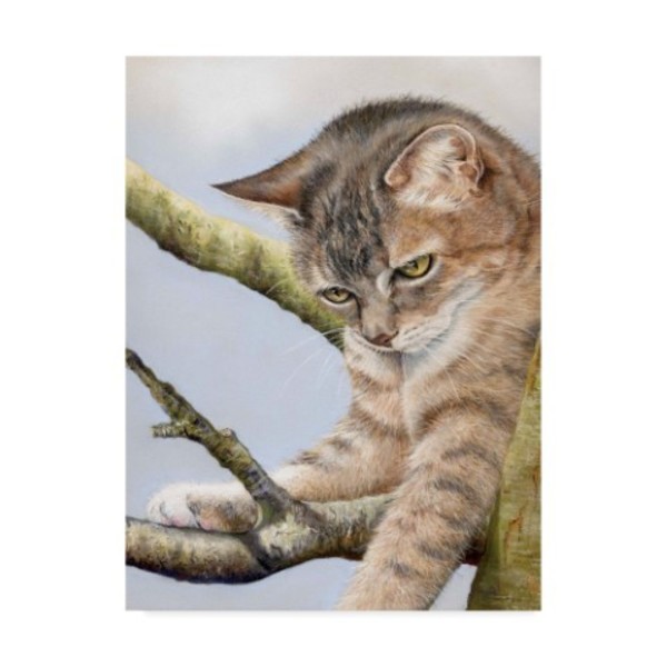 Trademark Fine Art Janet Pidoux 'Tabby In Tree' Canvas Art, 24x32 ALI36634-C2432GG